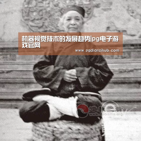机器视觉技术的发展趋势|pg电子游戏官网(图4) 机器视觉技术的发展趋势|pg电子游戏官网(图4)