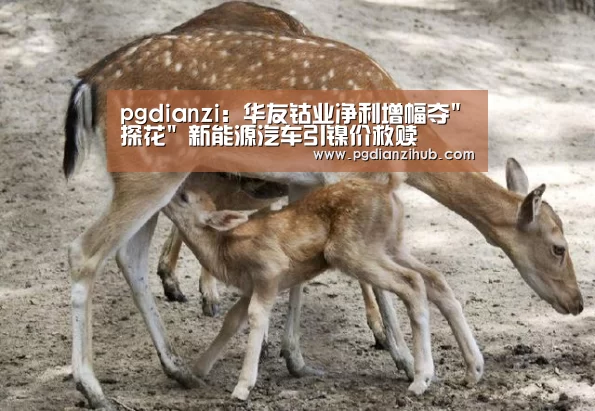pgdianzi:华友钴业净利增幅夺探花 新能源汽车引镍价救赎(图1) pgdianzi:华友钴业净利增幅夺探花 新能源汽车引镍价救赎(图1)