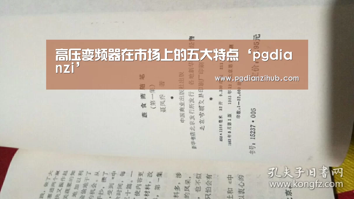 高压变频器在市场上的五大特点‘pgdianzi’