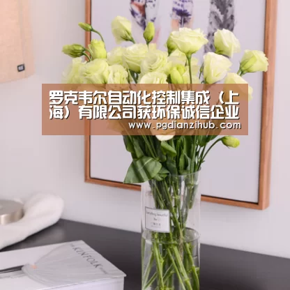 罗克韦尔自动化控制集成(上海)有限公司获环保诚信企业称号_pgdianzi(图2) 罗克韦尔自动化控制集成(上海)有限公司获环保诚信企业称号_pgdianzi(图2)