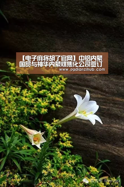 pg电子游戏官网