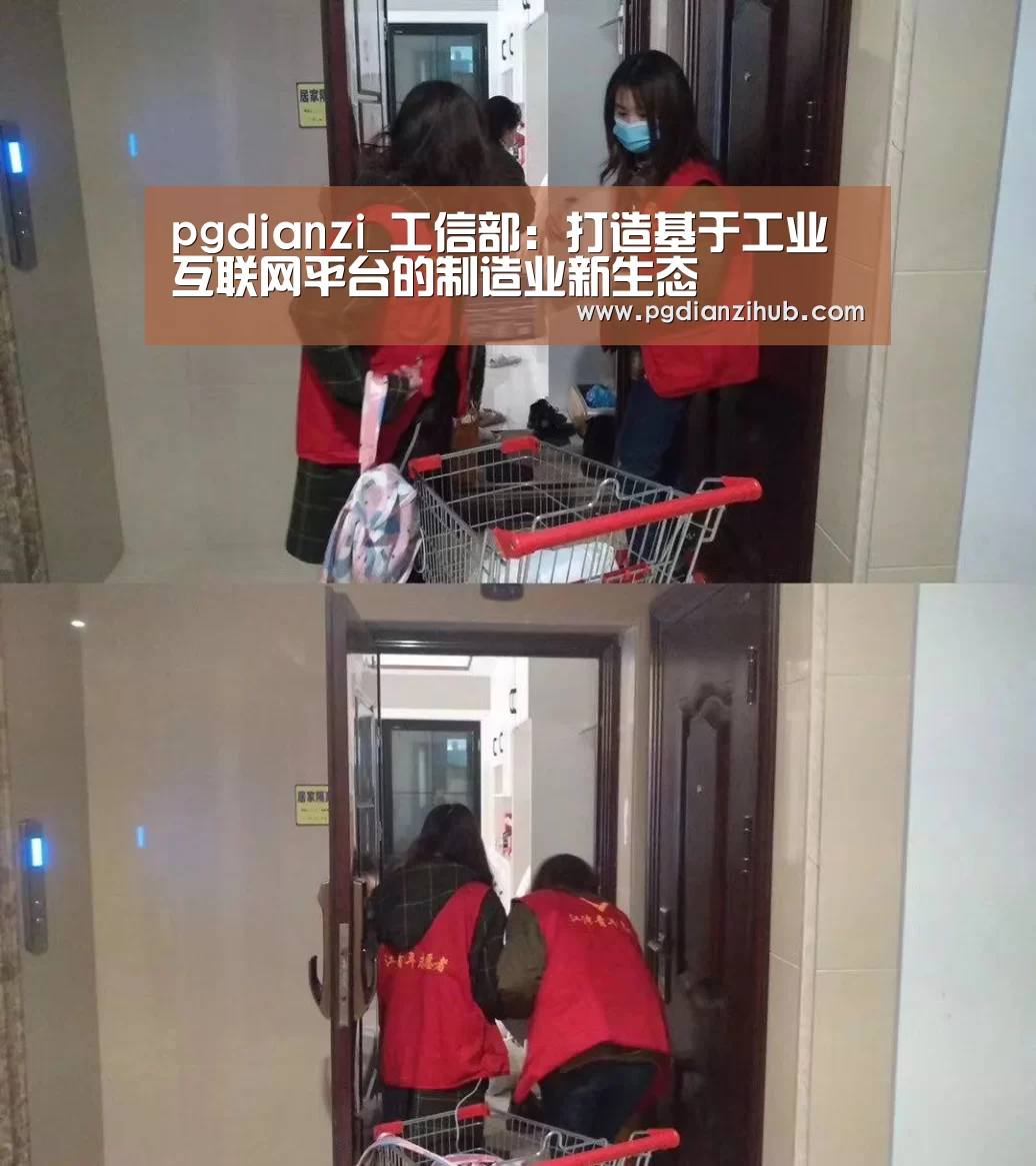 pgdianzi_工信部：打造基于工业互联网平台的制造业新生态(图2)