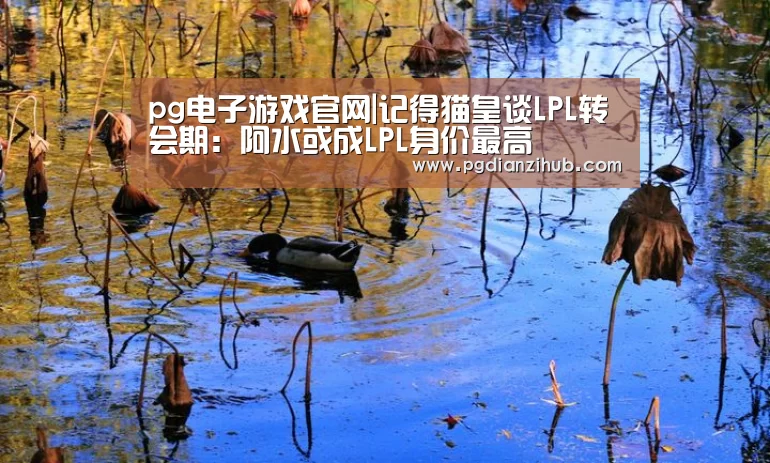 电子麻将胡了