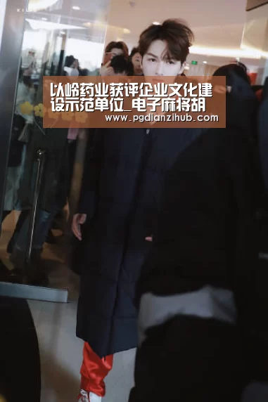 电子麻将胡了官网