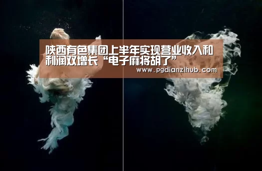 pg电子游戏官网