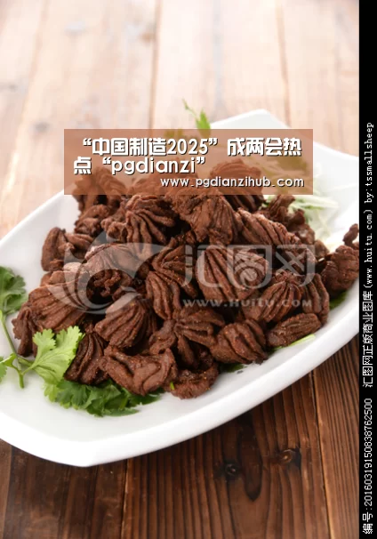 “中国制造2025”成两会热点“pgdianzi”