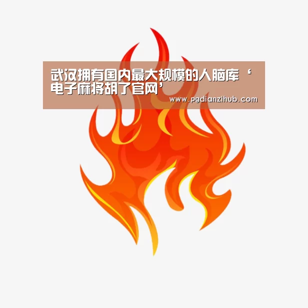 电子麻将胡了官网
